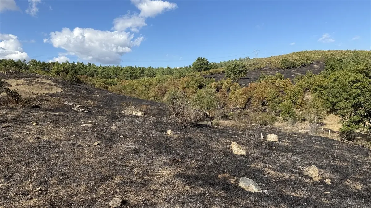 canda yangin kontrol altina alindi IUiMSMvQ