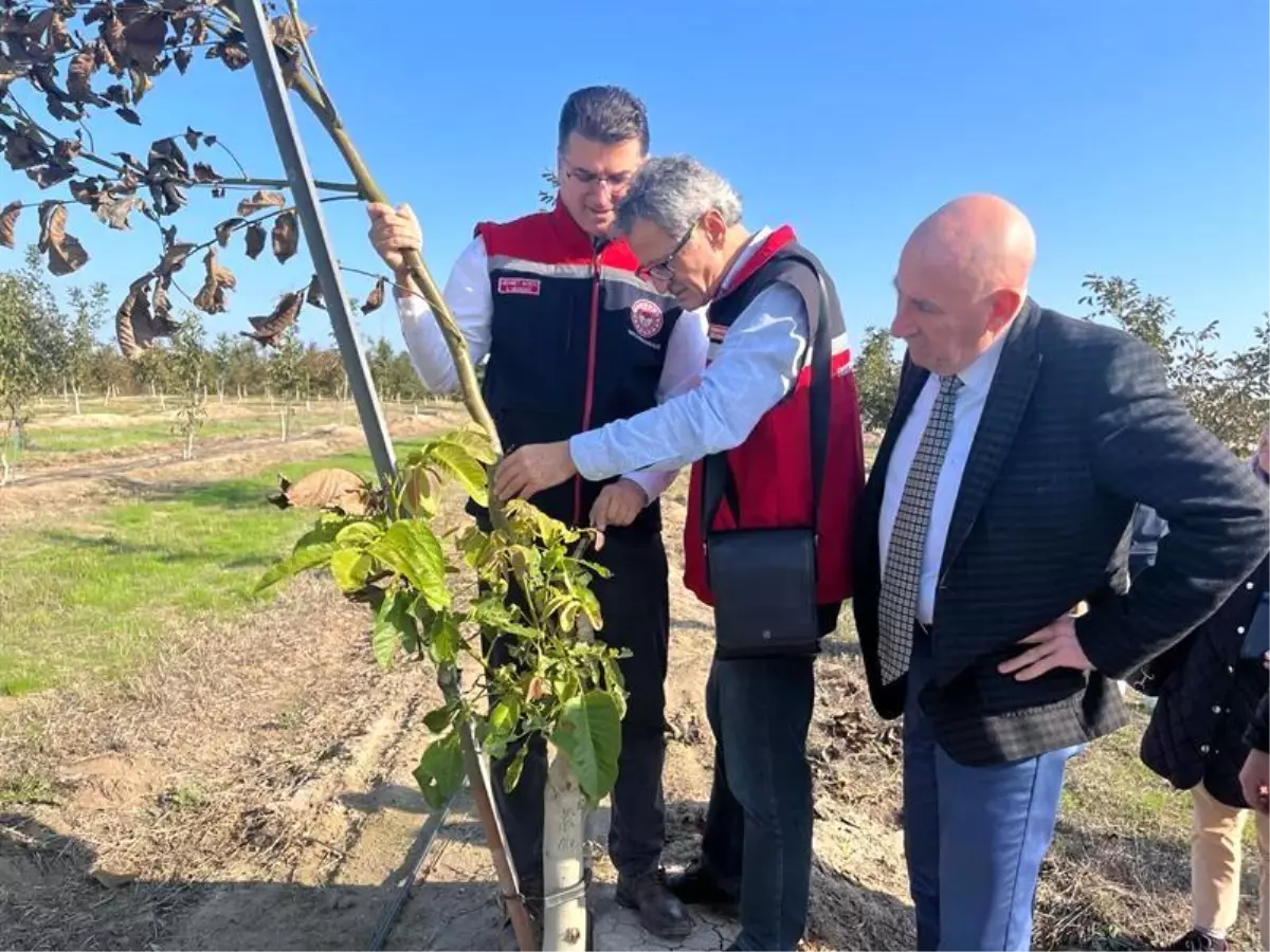 ceviz bahcesi ziyareti eYA2Vyvf.jpg