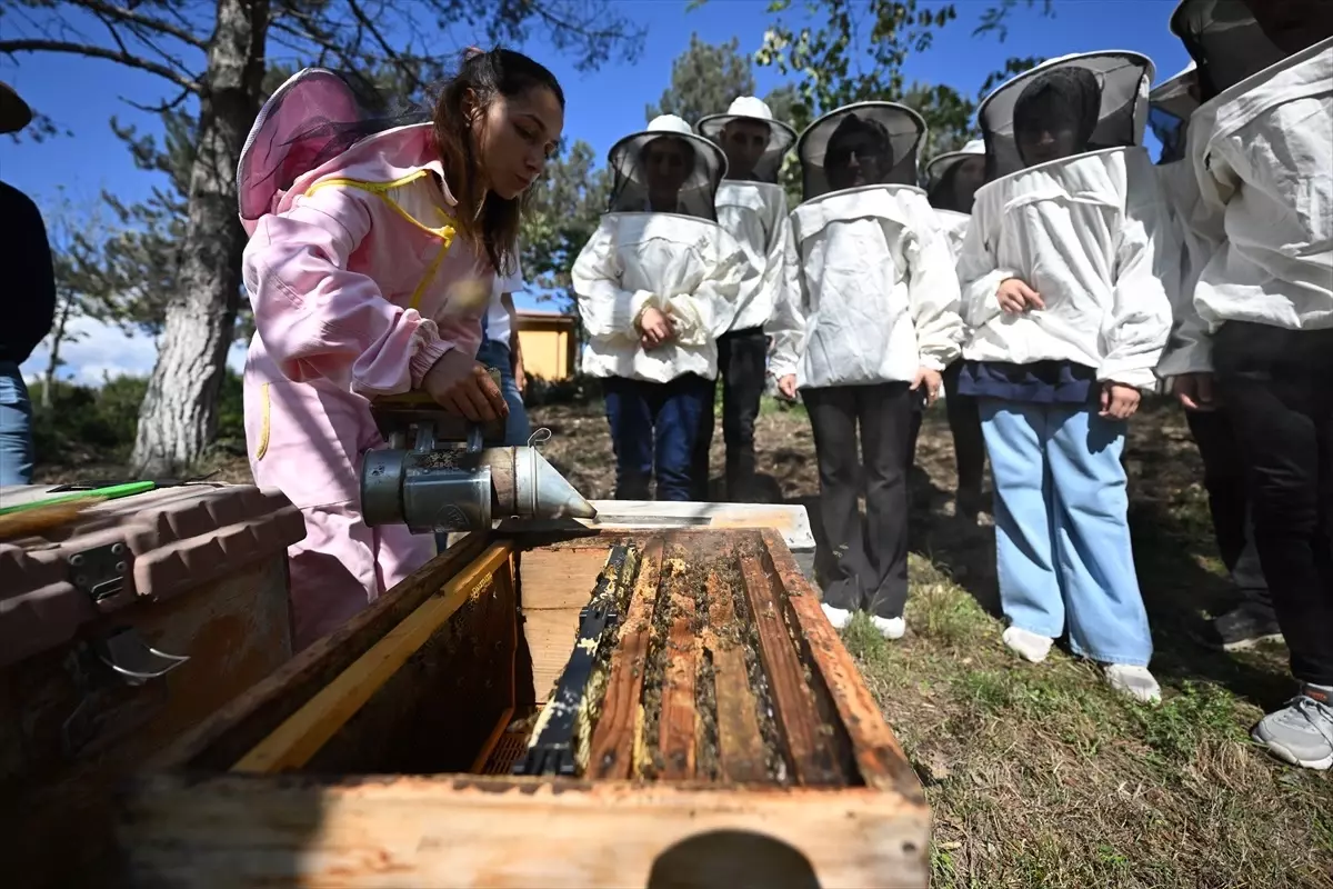ozel bireyler aricilik egitimi aliyor zRIH2FZW